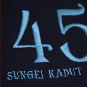 Embroidery on shirt